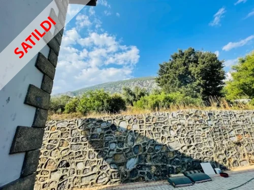 Alanya Property