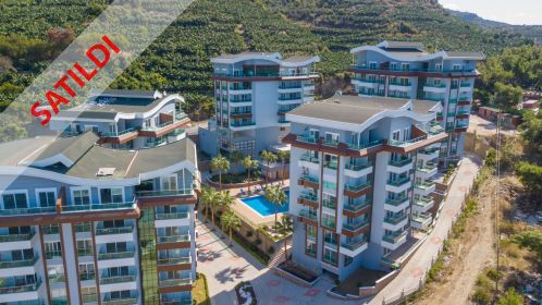 Alanya Property